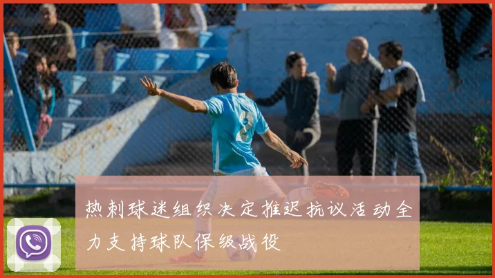 热刺球迷组织决定推迟抗议活动全力支持球队保级战役