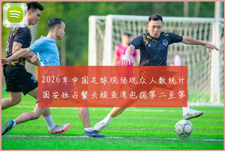 2026年中国足球现场观众人数统计国安独占鳌头梭鱼湾包揽第二至第七位