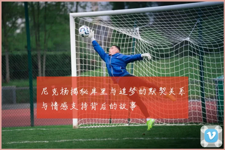 尼克杨揭秘库里与追梦的默契关系与情感支持背后的故事