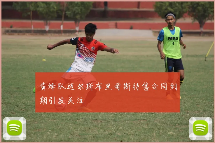 黄蜂队迈尔斯布里奇斯待售合同到期引发关注